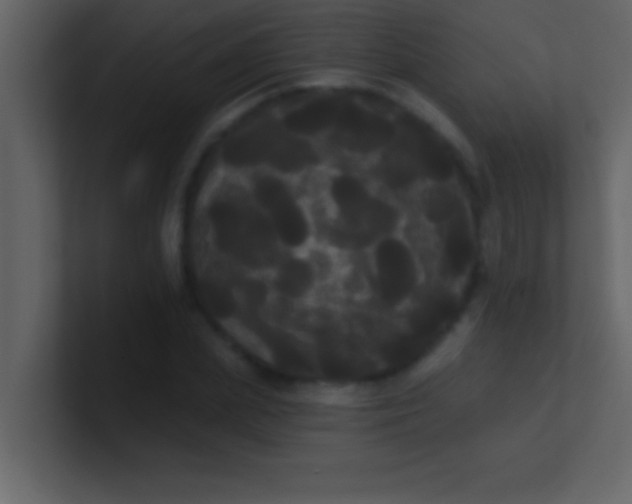 X0000100920831200807081149