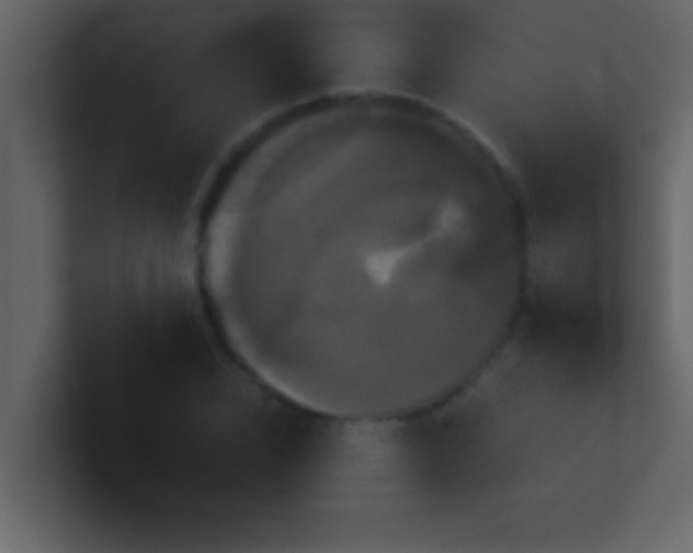 X0000100920832200807081149