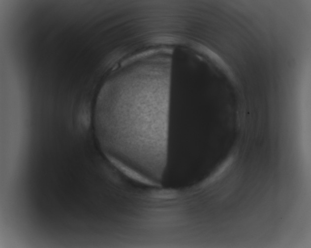 X0000100920833200807081149