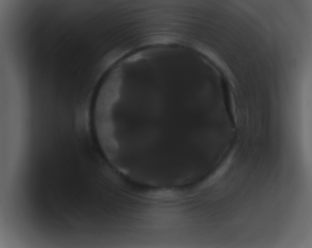 X0000100920834200807081149