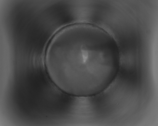 X0000100920836200807081149