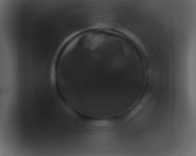 X0000100920838200807081149