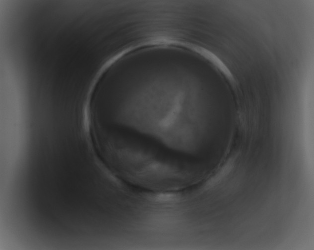 X0000100920839200807081149