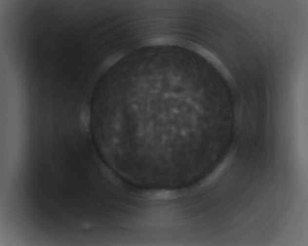 X0000100920841200807081149