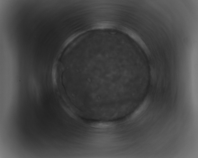 X0000100920842200807081149