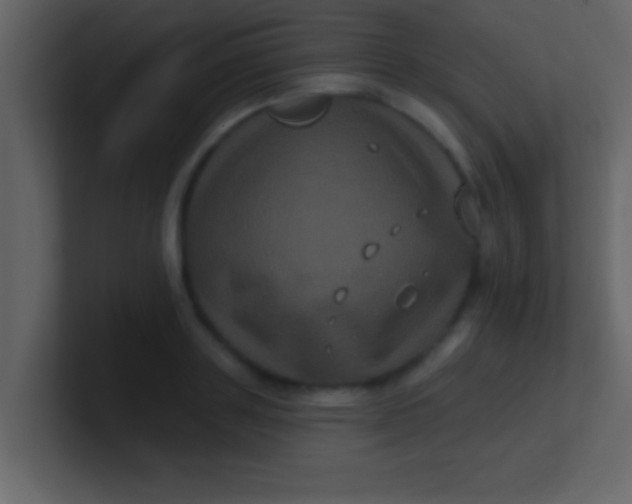 X0000100920843200807081149