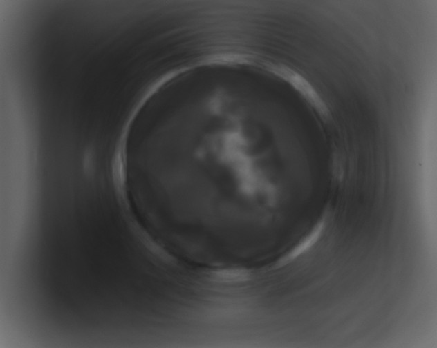 X0000100920844200807081149