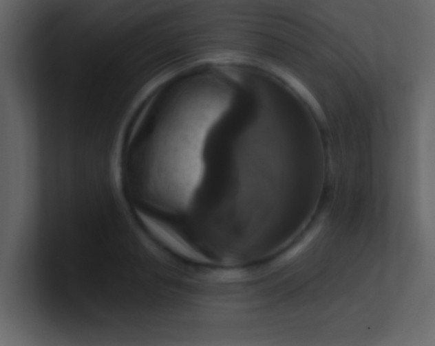 X0000100920845200807081149