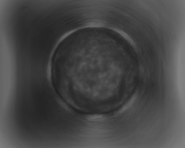 X0000100920846200807081149