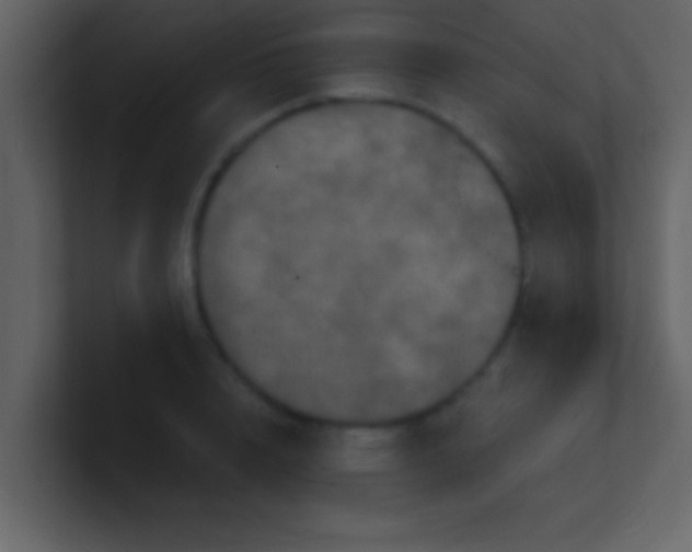 X0000100920848200807081149