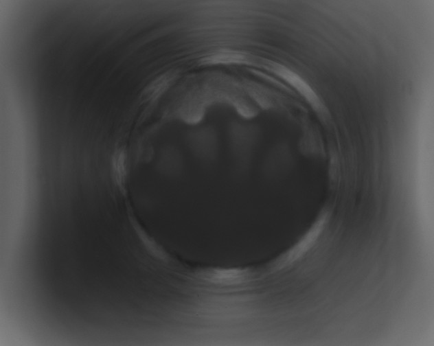 X0000100920849200807081149