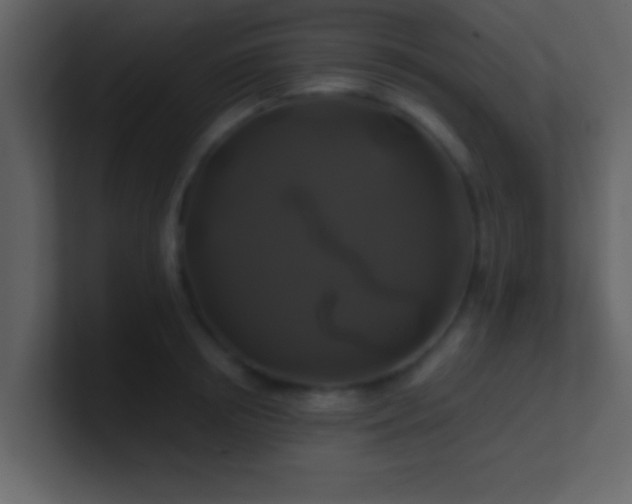 X0000100920850200807081149