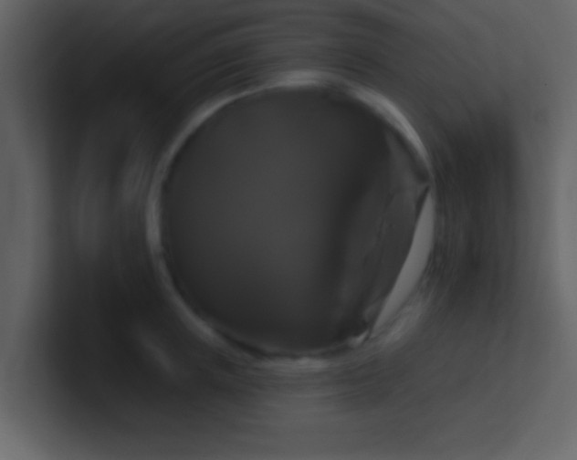 X0000100920851200807081149