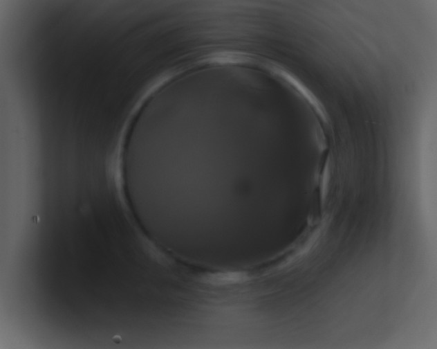 X0000100920853200807081149