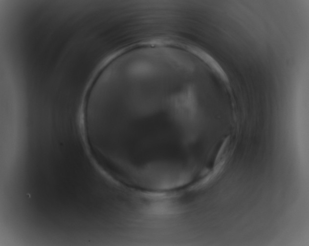 X0000100920855200807081149