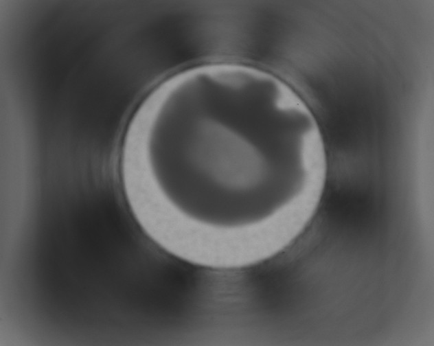 X0000100920856200807081149