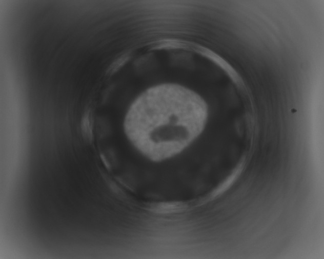 X0000100920857200807081149