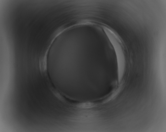 X0000100920858200807081149