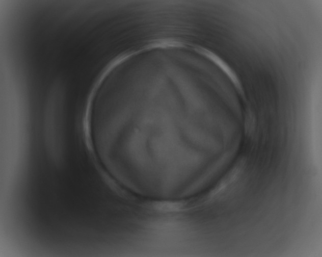 X0000100920861200807081149