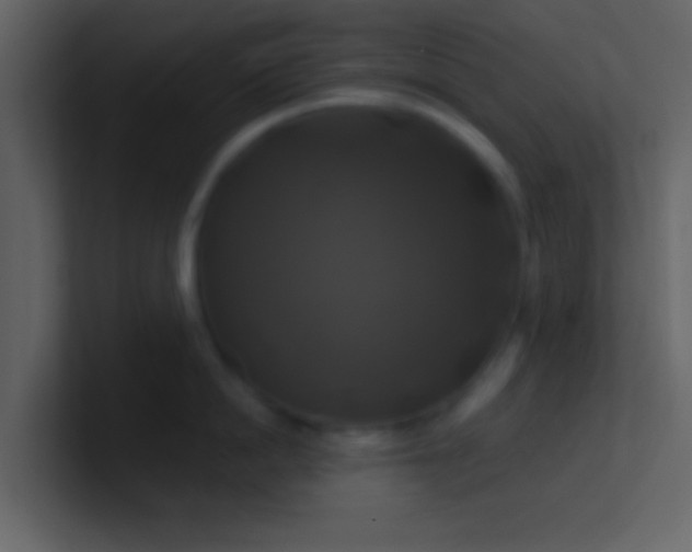 X0000100920862200807081149