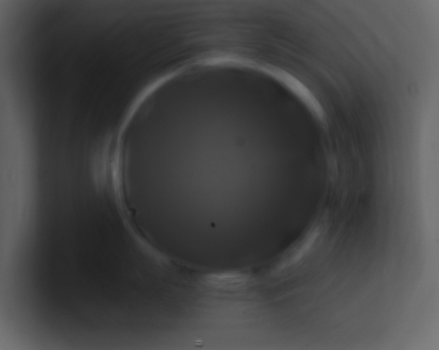 X0000100920863200807081149