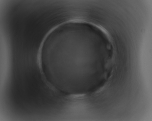 X0000100920864200807081149