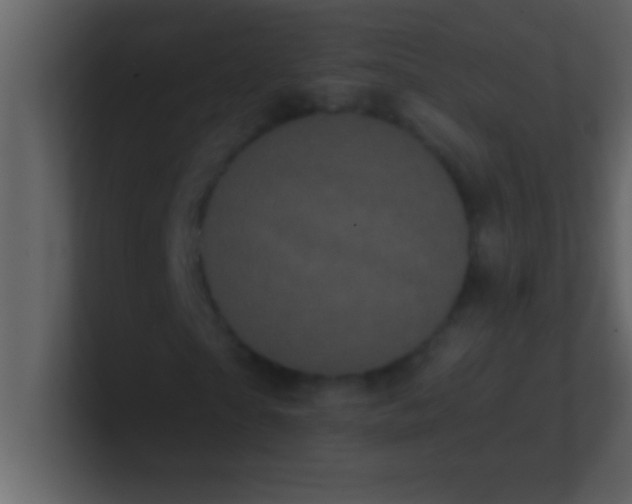 X0000100920865200807081149