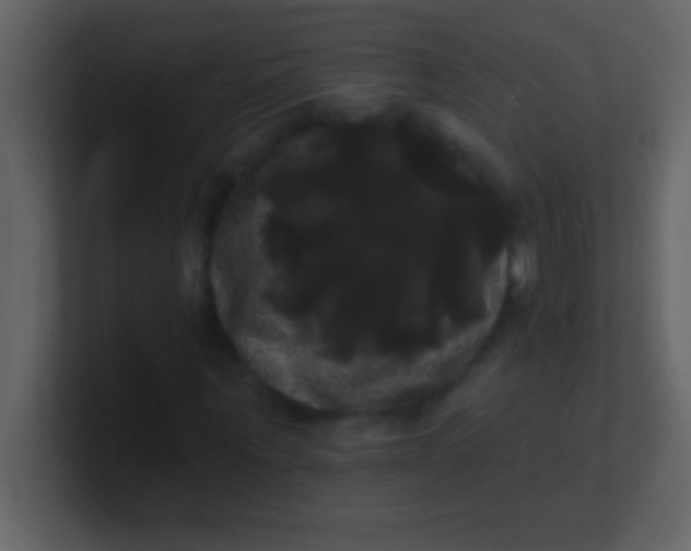 X0000100920867200807081149