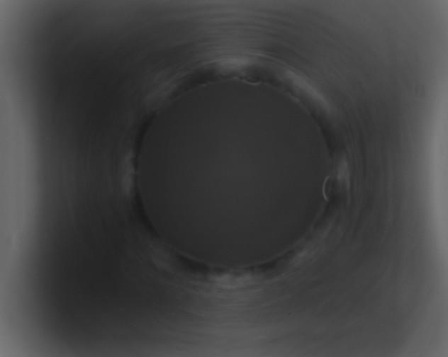 X0000100920868200807081149