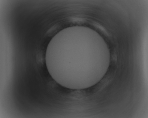 X0000100920869200807081149