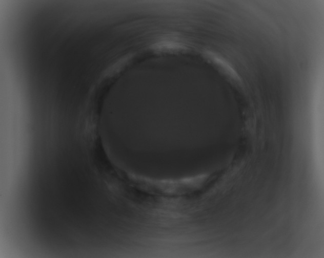 X0000100920870200807081149