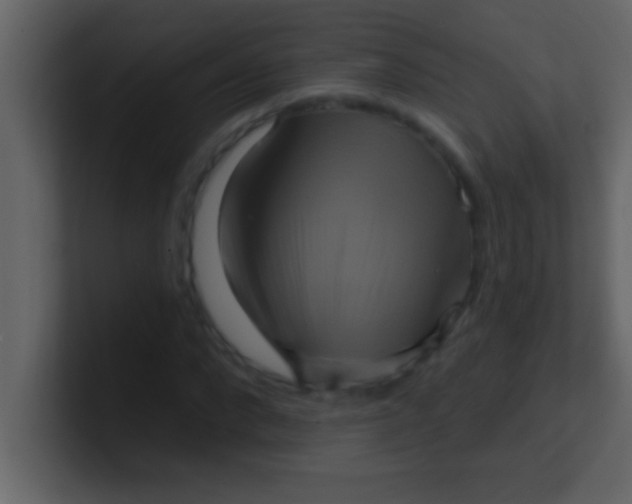 X0000100920872200807081149