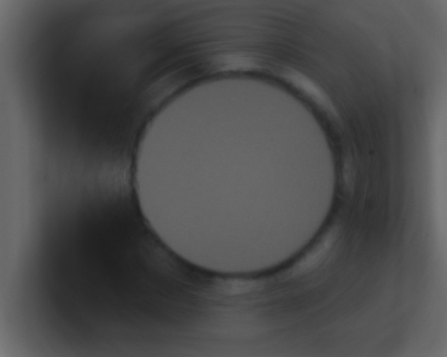 X0000100920873200807081148