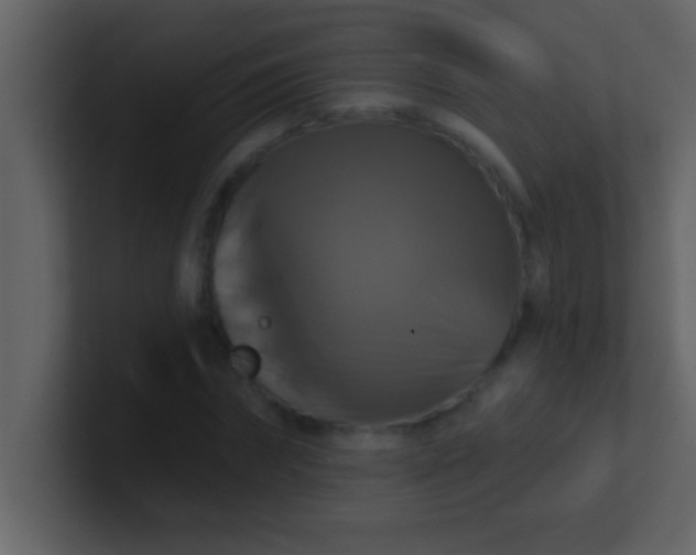 X0000100920874200807081148