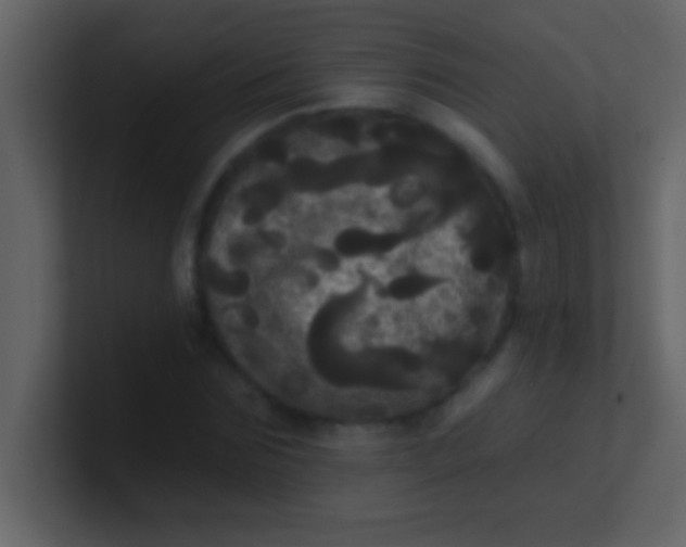 X0000100920875200807081148