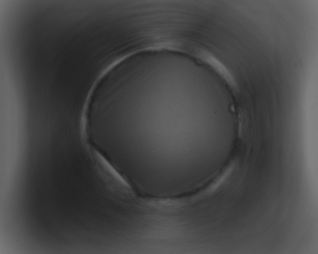 X0000100920876200807081148