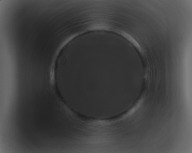 X0000100920877200807081148