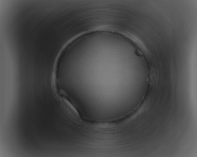 X0000100920880200807081148