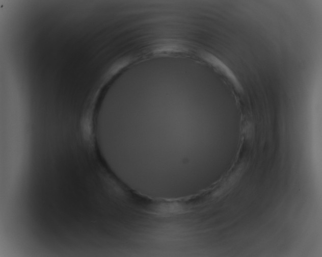 X0000100920882200807081148