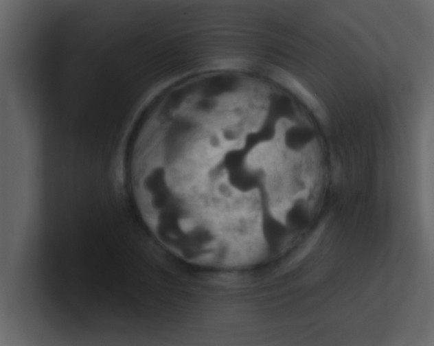 X0000100920883200807081148