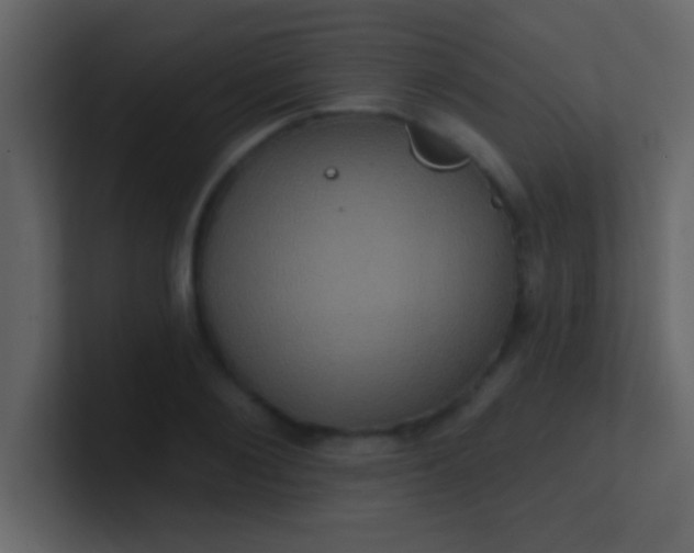 X0000100920884200807081148