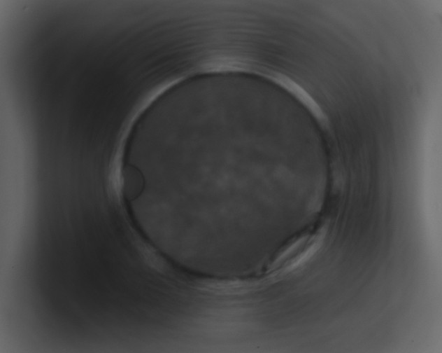 X0000100920885200807081148