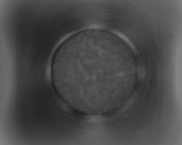 X0000100920886200807081148