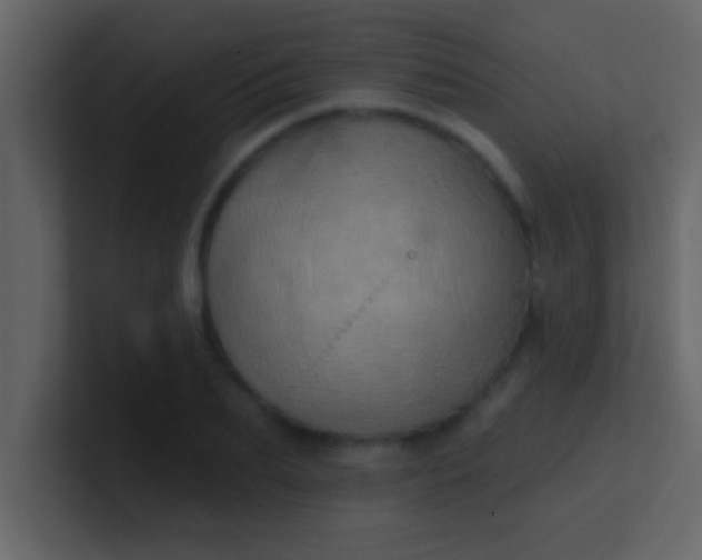 X0000100920887200807081148