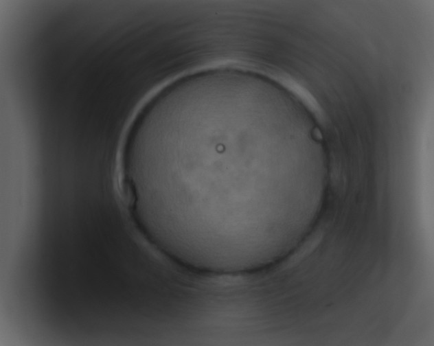 X0000100920888200807081148