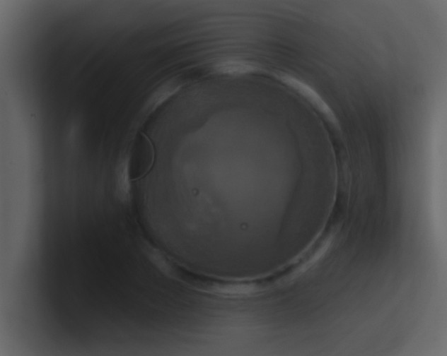 X0000100920889200807081148