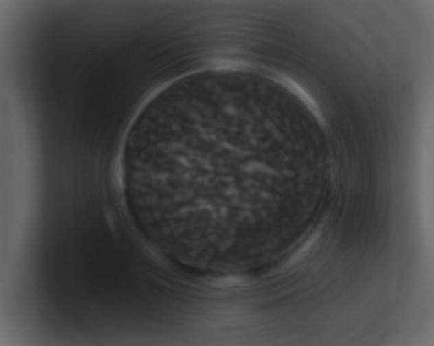 X0000100920891200807081148