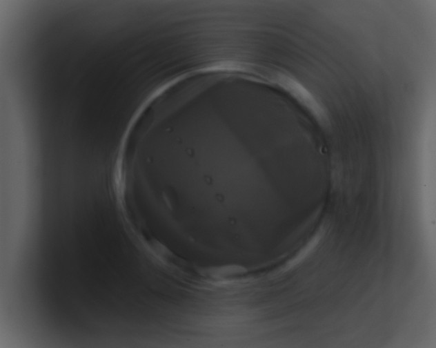 X0000100920892200807081148