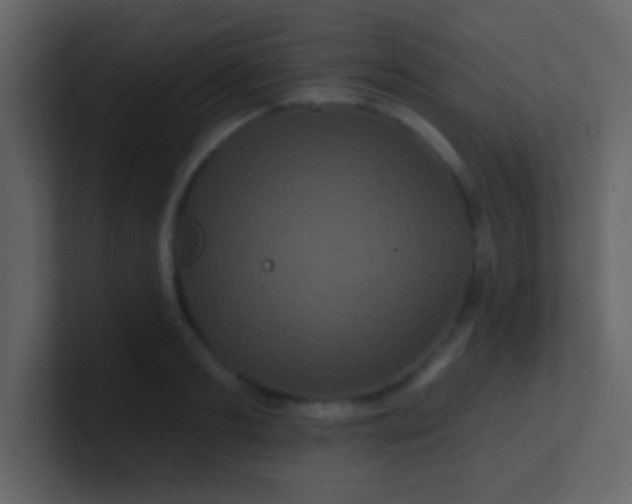 X0000100920893200807081148