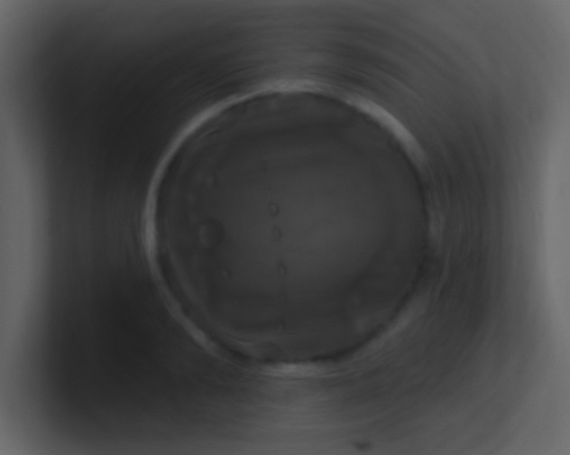 X0000100920894200807081148